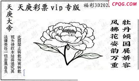 正版天庚图2025077期3d图谜