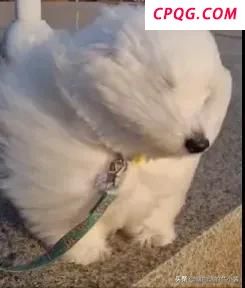 天津：大风卷起尘土视线模糊