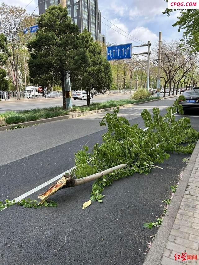 大风中的北京、河南，竟是这样的 多地出现历史极值大风