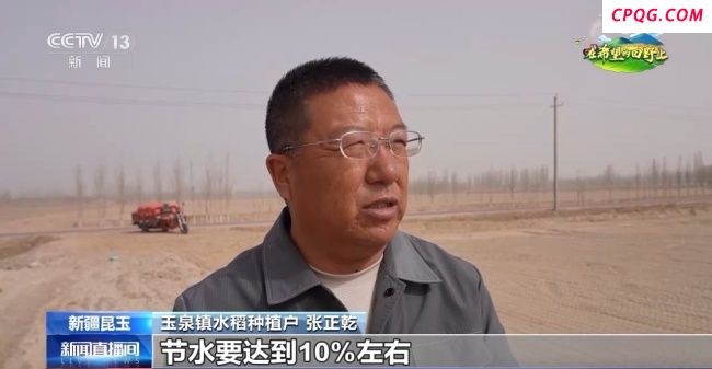 塔克拉玛干沙漠用旱直播技术种水稻
