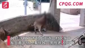北京部署2025住房保障工作 六项重点任务明确