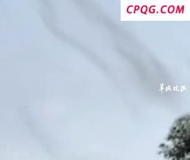 广东一地蚊子聚集飞舞似龙卷风