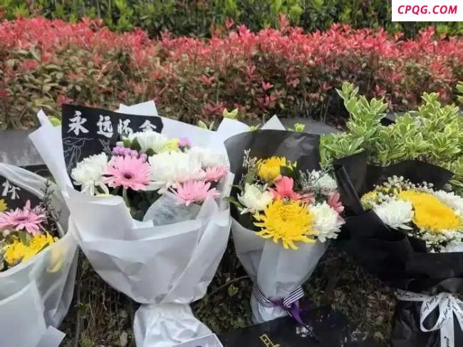 景德镇车祸家属带1家3口衣服出庭 盼公正裁决