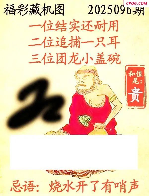 藏机图2025096期3d图谜 