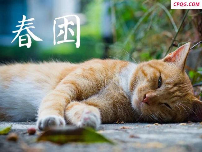 “春困”成了社交平台的热议话题，三个方法缓解春困