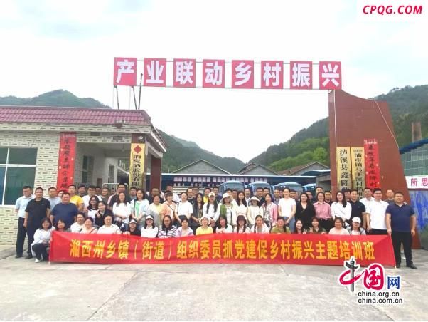 湘西百余组织委员走进浦市镇探寻振兴“密码”