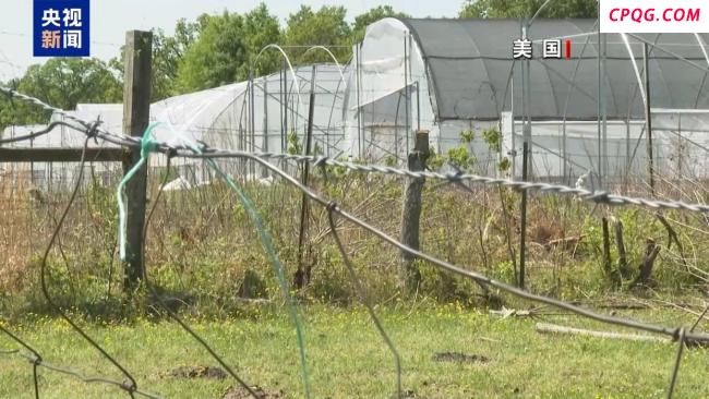 关税大棒下美国农场现状 农业生产者破产风险陡增