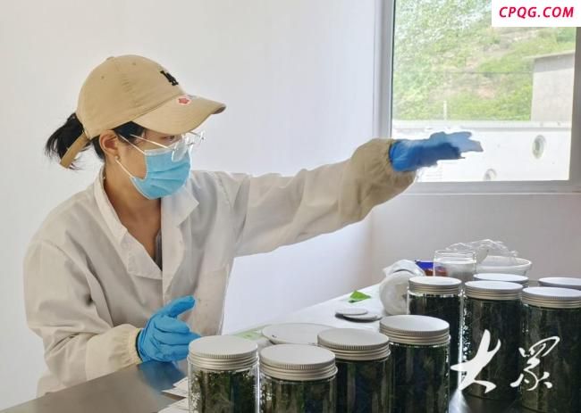当村支书开始拍短视频卖货 乡村振兴新路径