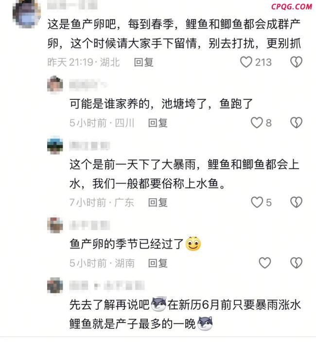 网友拍下大量鲤鱼“跃龙门” 壮观场景引热议