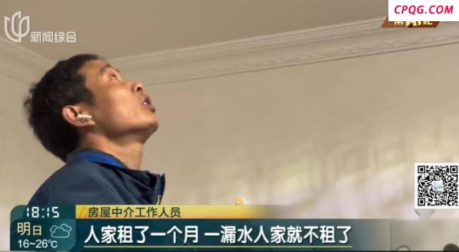 阿姨把房让猫居住邻居遭殃 异味扰民引纠纷