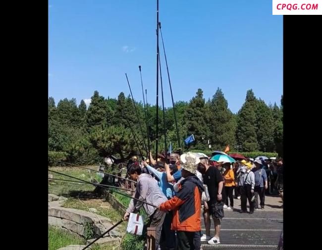 纽约市民凌晨排队抢中国相机 创意摄影需求激增