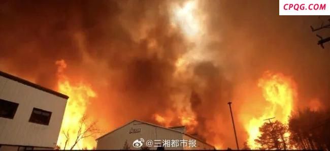 美国新泽西州19岁男孩涉嫌纵火被捕 山火致大面积受损