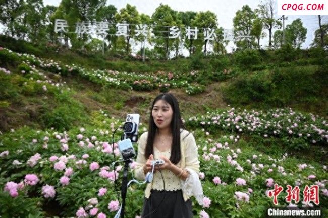 探访“重庆芍药第一村”