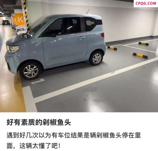 县城贵妇疯抢“剁椒鱼头车” 新时尚单品风靡小城