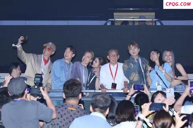 谢霆锋儿子现身演唱会 兄弟俩帅气支持父親