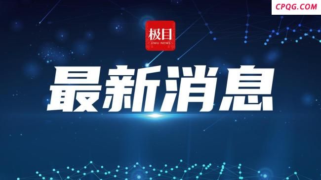 荷兰一估价5千万欧元名画被儿童损坏