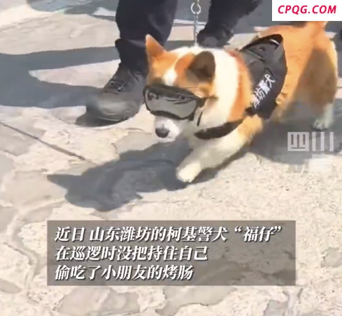 警犬福仔上班抢小朋友烤肠后续：被抢烤肠的小朋友喜提福仔周边