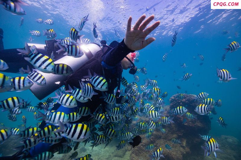 ​海南：五一假期旅游多重福利解锁海岛新玩法