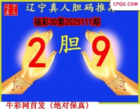 辽宁真人一句定码111期福彩3d图谜