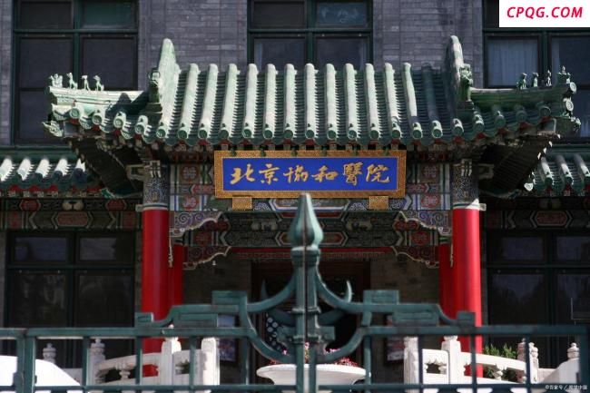 董袭莹论文致谢称希望不负一袭白衣 论文争议引发关注