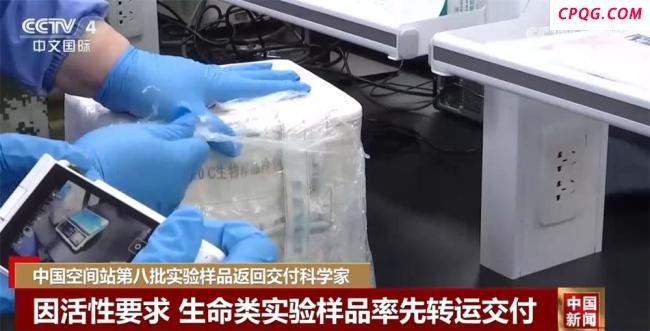 上太空的果蝇在空间站“四世同堂” 亚磁-微重力实验成果显著