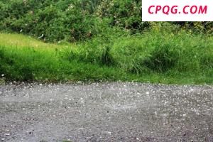 北京一区发布冰雹黄色预警 怀柔两乡需防范
