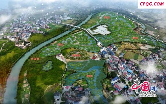 泸溪黄家桥村：党建引领强根基 乡村振兴展新篇