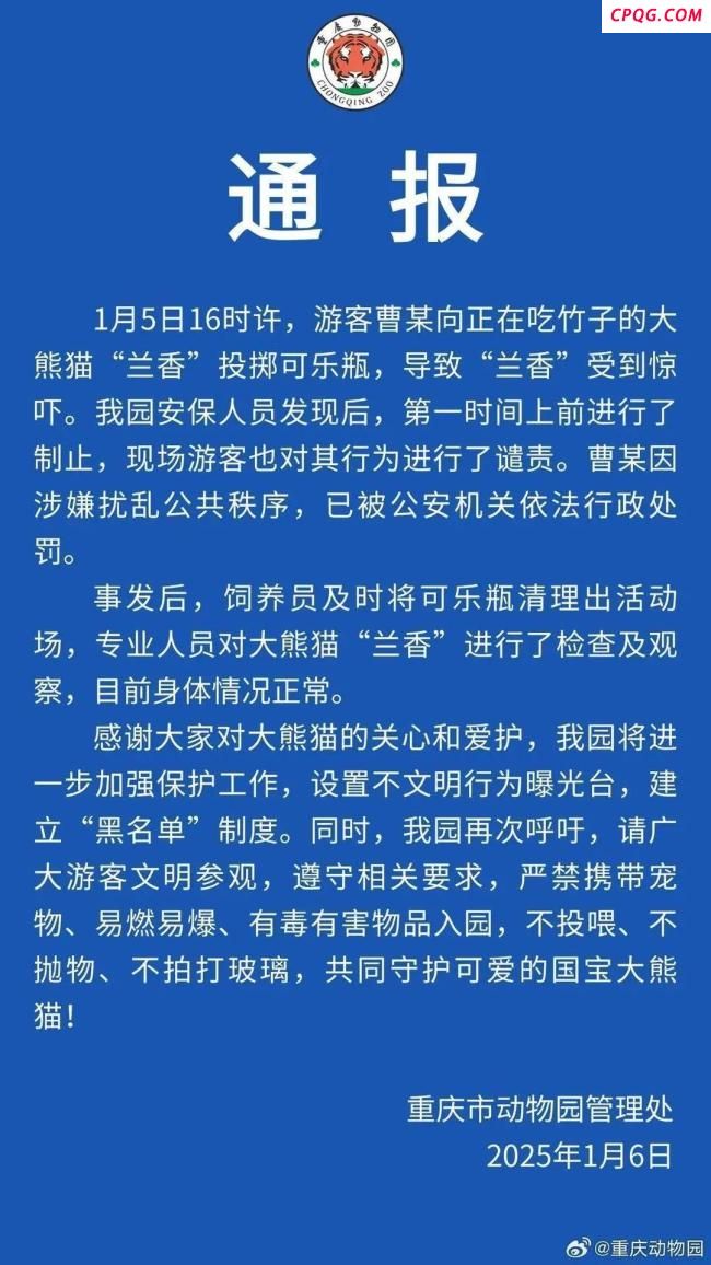 大熊猫双双被游客扔玻璃药瓶 同类事件再发生
