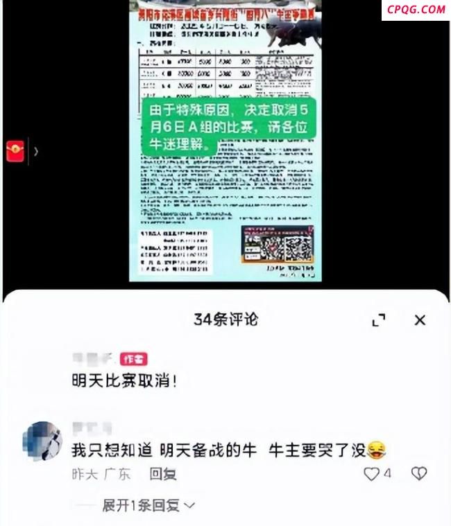 牛王争霸赛起纠纷引发群殴 赛事冲突致女子受伤