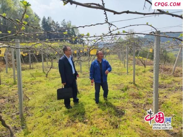 湘西农商银行系统：“金融春雨”助力乡村振兴