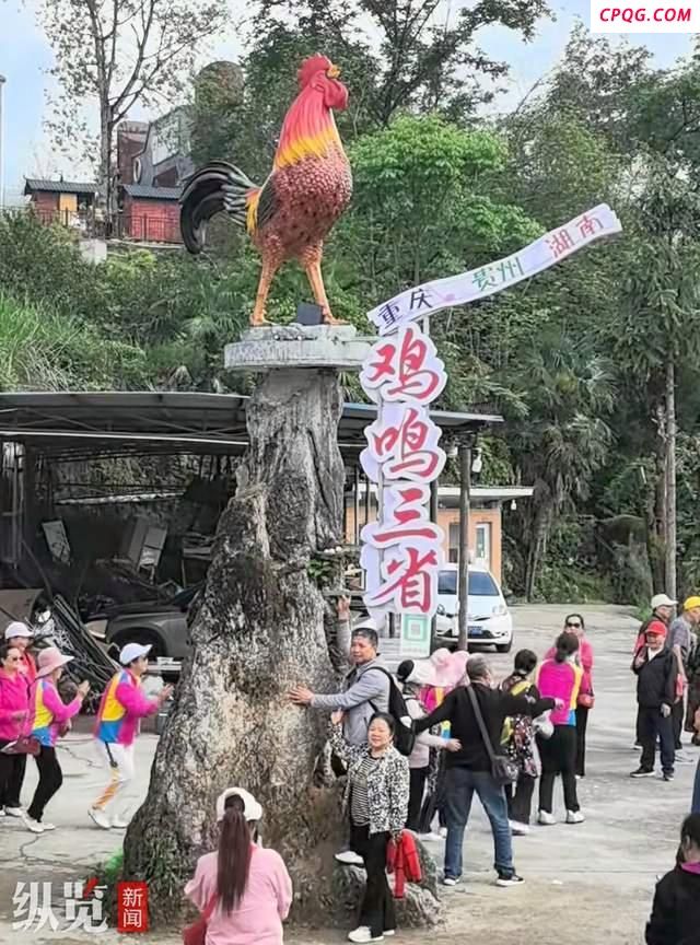农家乐扫码闻鸡鸣遭跟风恶搞