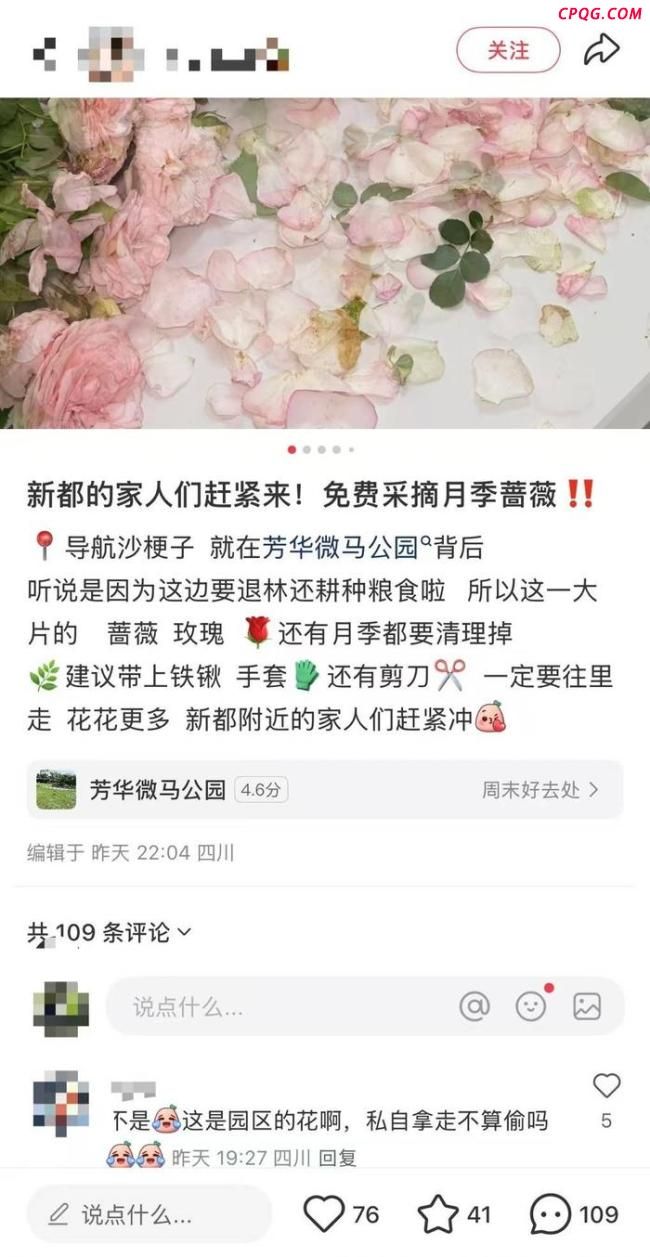 成都一苗圃遭组团挖花 不实信息引发混乱