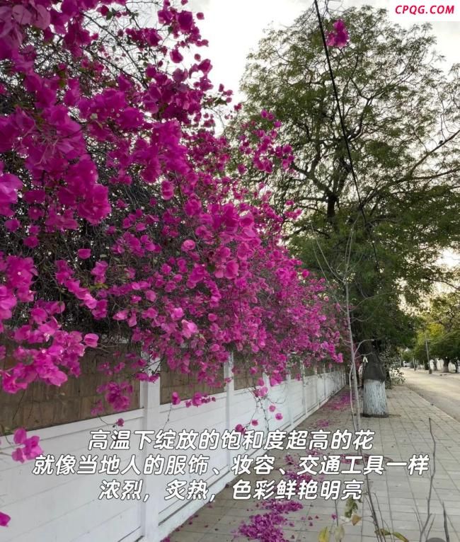 印度70%电网瘫痪当地华人发声 机场实施管控