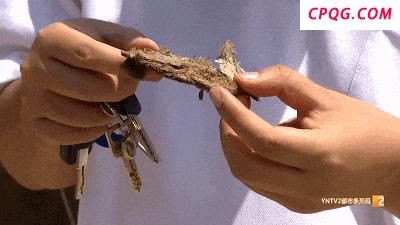 昆明一地空中飘浮不明物质 疑似玻璃纤维引发担忧