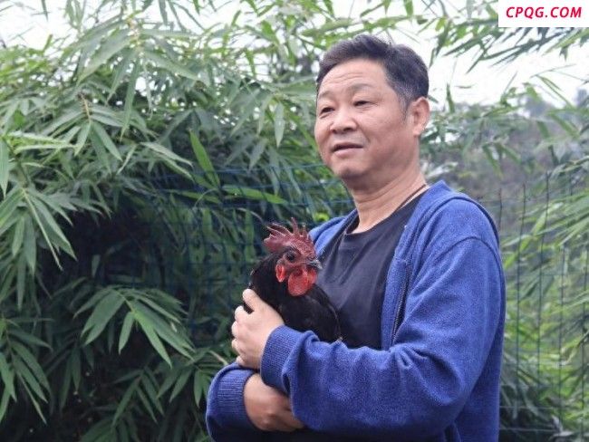赵亮：质疑我们养的鸡 很冤枉