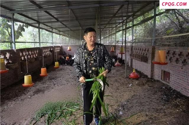 赵亮：质疑我们养的鸡 很冤枉 愿直面质疑展示真相