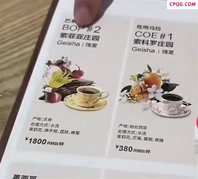 实探上海1800元一杯的咖啡 天价咖啡豆引热议
