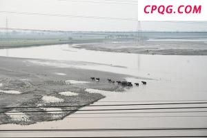 新疆发现战国至秦汉墓群 吐鲁番盆地重要考古发现