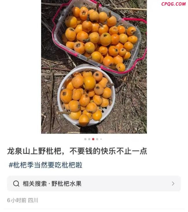 年轻人爱上打野农户深受困扰