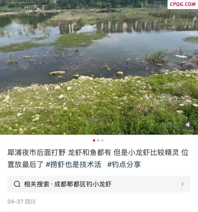 年轻人爱上打野农户深受困扰 采摘潮流引发争议