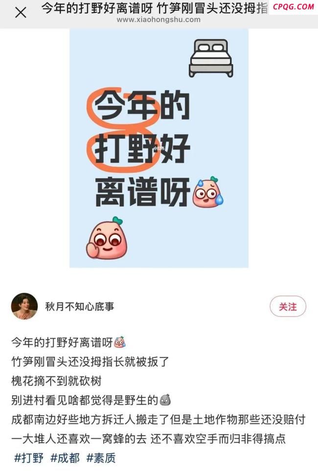 年轻人爱上打野农户深受困扰 采摘潮流引发争议