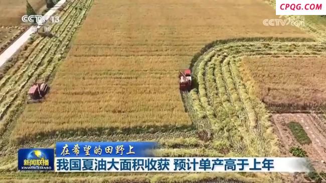 中国夏油大面积收获 单产将高于上年 冬油菜单产有望再提升