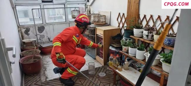 贪吃蛇溜进居民家大吃特吃