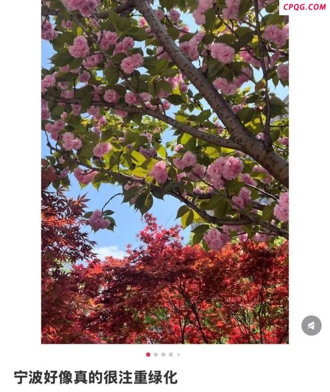 浙江宁波挤满提前退休的中产 宁波正成为年轻人的乌托邦