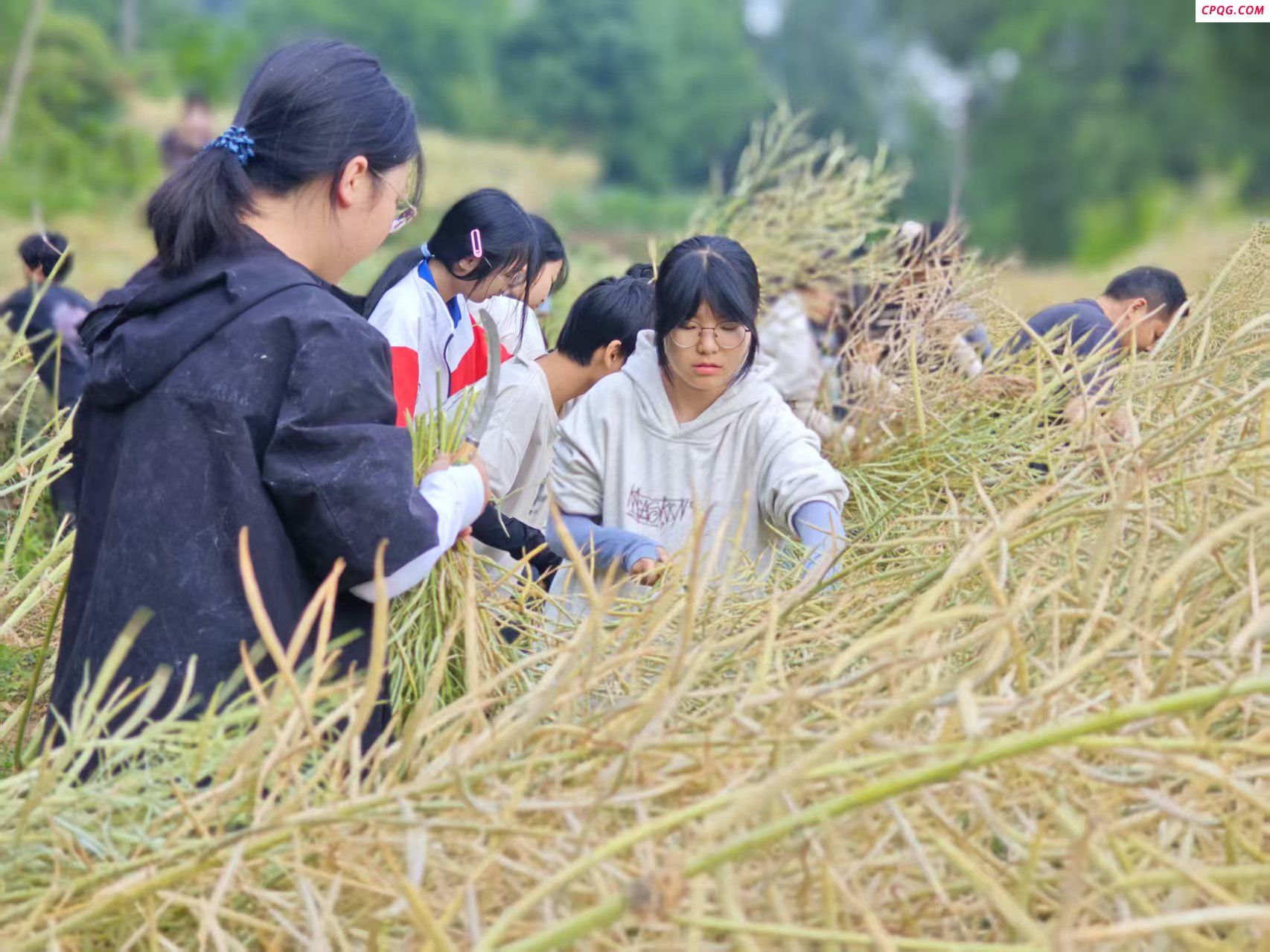 四川通江县广纳中学：助农干农活，劳育润心田