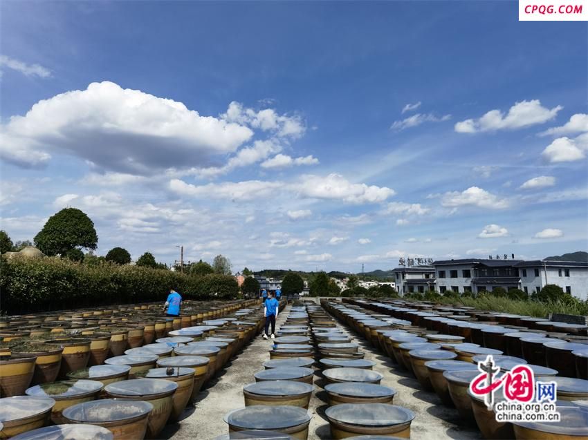 高舜礼：农文旅商融合能否“拧成一股绳”？