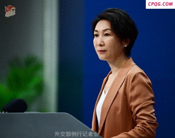 巴基斯坦副总理访华说明什么
