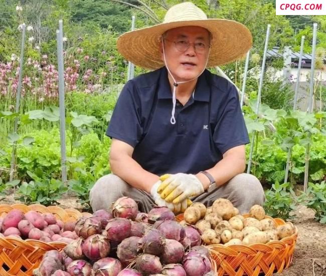 朴槿惠站队金文洙 李在明还能当选吗 政治博弈再升级