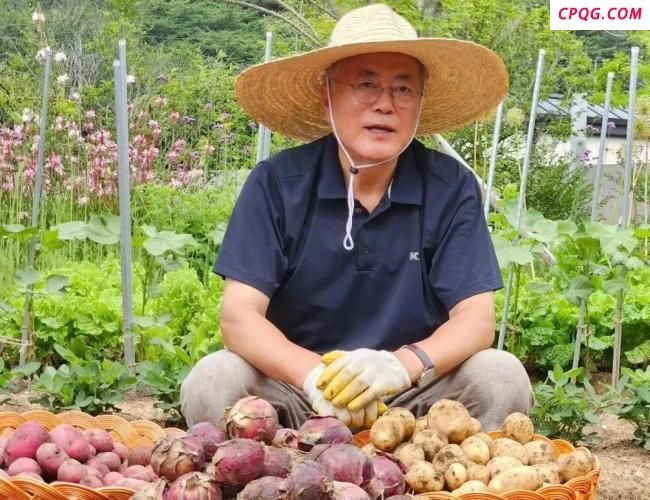 韩国总统大选有多魔幻 前任复仇者联盟现场