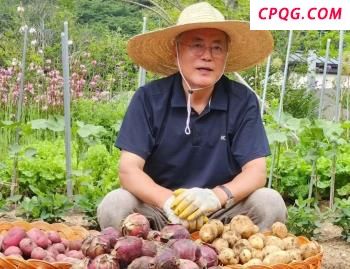 大V：C919国产化迫在眉睫 美国禁令加速自主研发